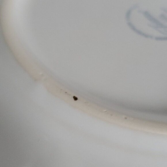 Fiestaware Fiesta Trio Skeletons Ceramic 9" Luncheon Plate Classic Rim White - Picture 12 of 16